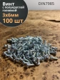 Винт с полукруглой головкой М3х6 ОЦ DIN7985, 100 шт.