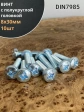 Винт с полукруглой головкой М8х30 ОЦ DIN7985, 10 шт.