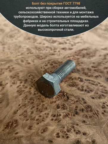 Болт без покрытия 10х45 мм ГОСТ 7798, 10 шт. фото 4